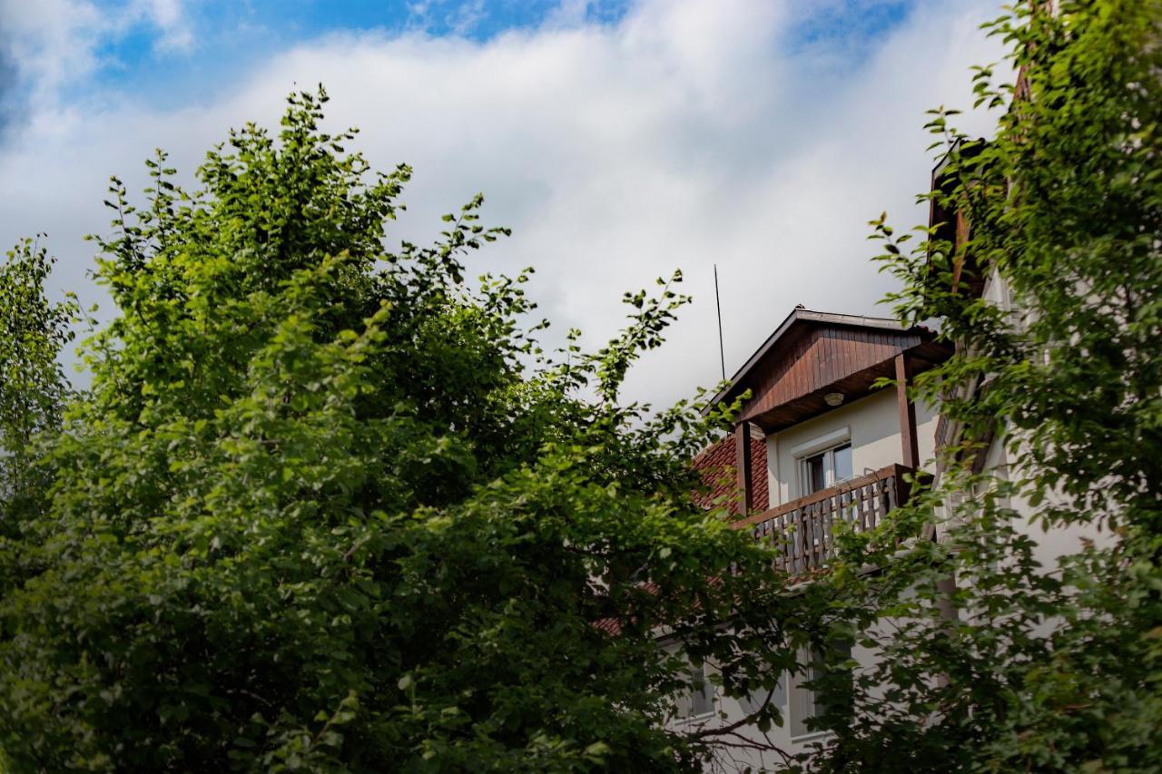 Alabastrom Panzio Es Etterem Bed & Breakfast Bogacs Ngoại thất bức ảnh