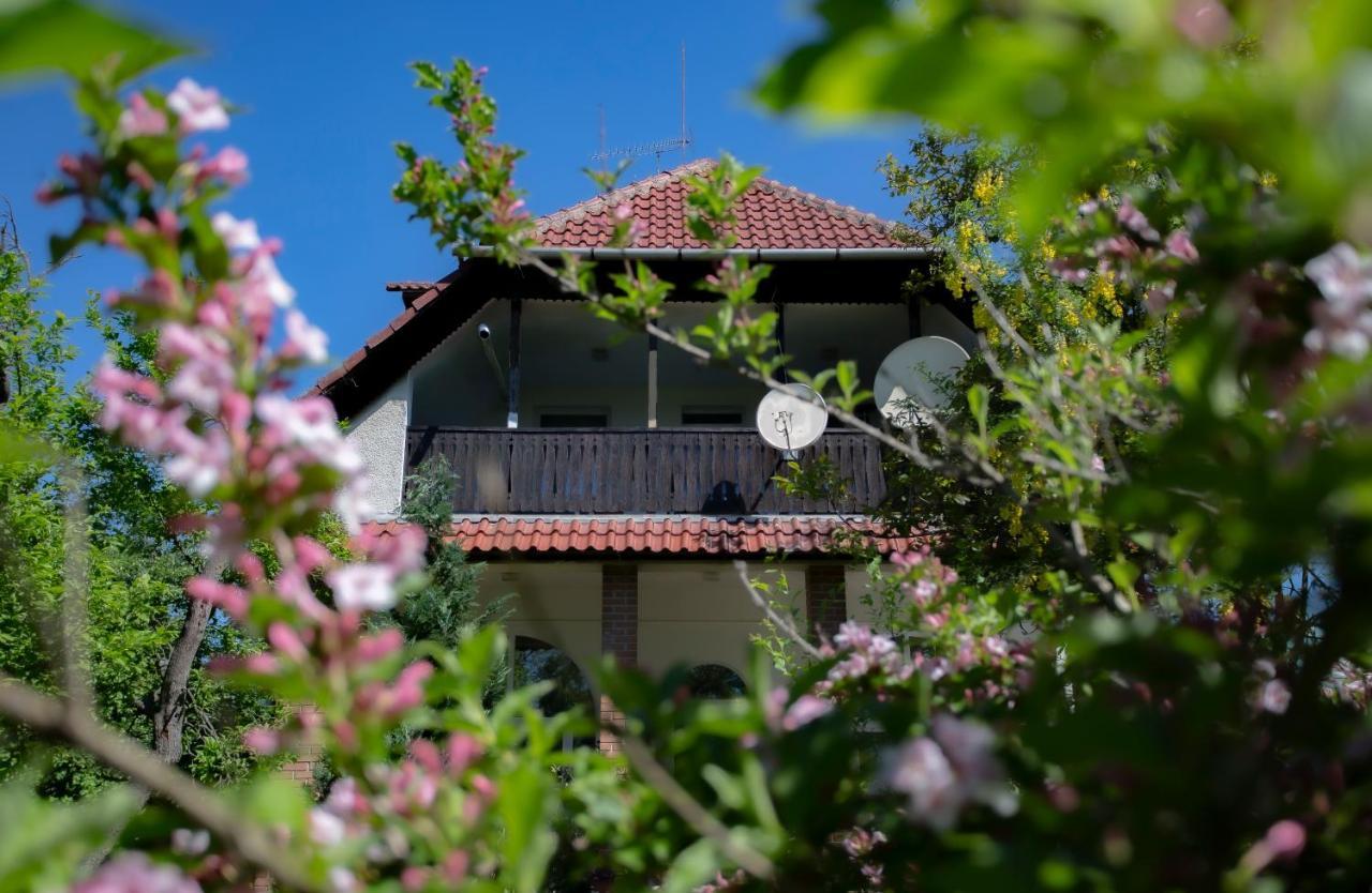 Alabastrom Panzio Es Etterem Bed & Breakfast Bogacs Ngoại thất bức ảnh